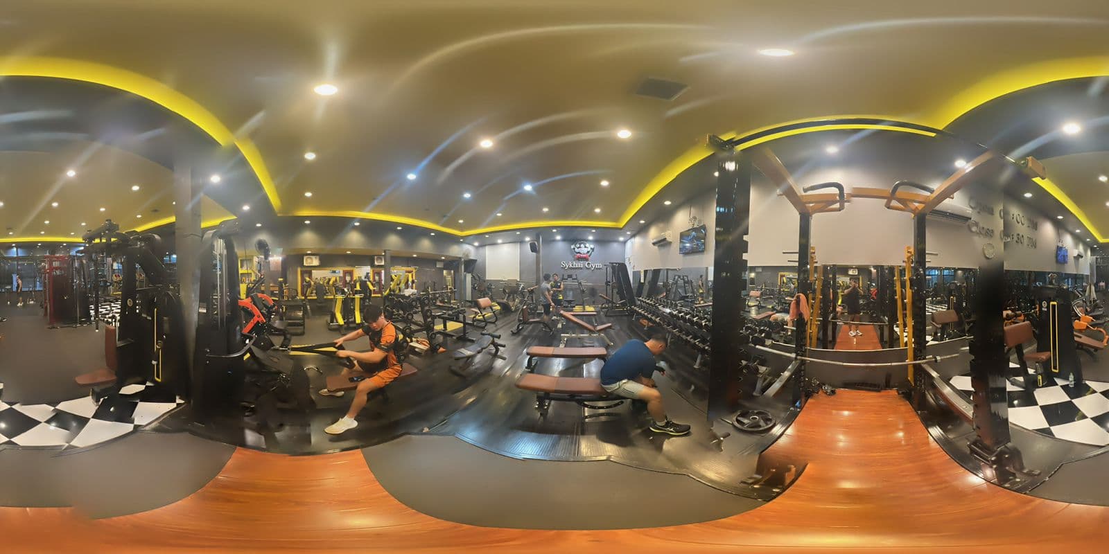 Functional Training Rig