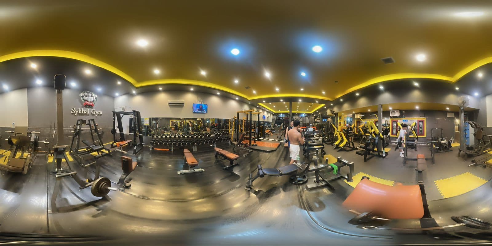 Dumbbell & Bench Area